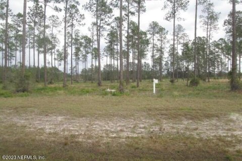 Land in Jacksonville, Florida № 841069 - photo 1