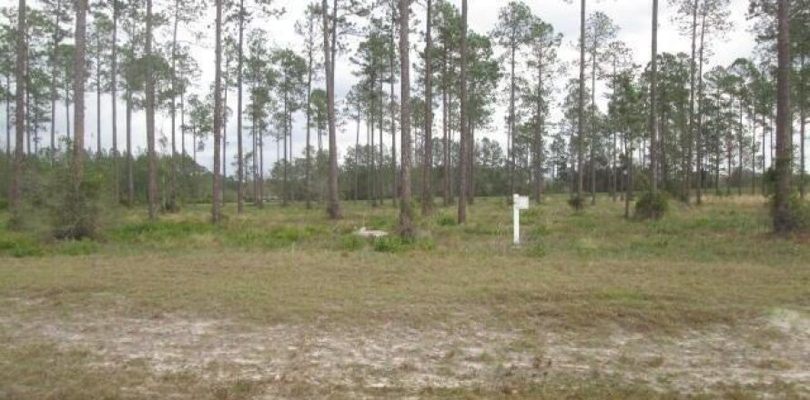 Land in Jacksonville, Florida № 841069