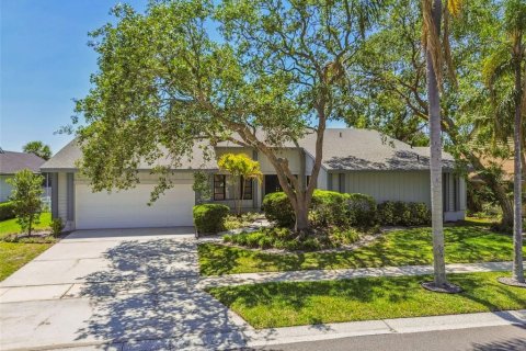 House in Tampa, Florida 4 bedrooms, 264.12 sq.m. № 1650741 - photo 1