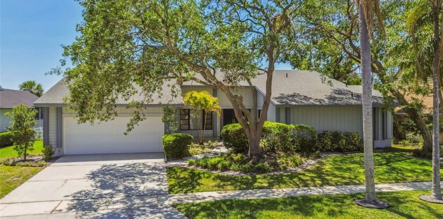 House in Tampa, Florida 4 bedrooms, 264.12 sq.m. № 1650741