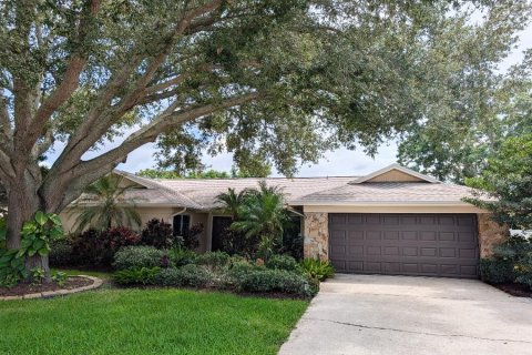 Villa ou maison à Clearwater, Floride 5 chambres, 244.98 m2 № 2375409
