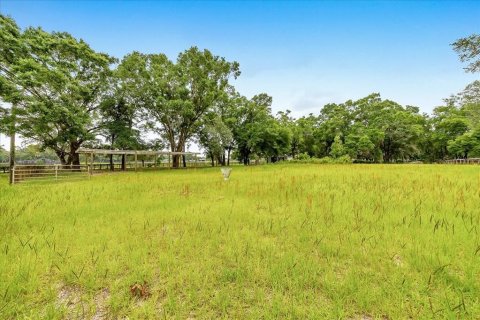 House in Morriston, Florida 3 bedrooms, 145.48 sq.m. № 1760294 - photo 2