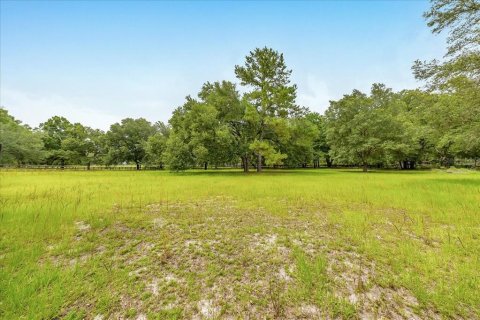 House in Morriston, Florida 3 bedrooms, 145.48 sq.m. № 1760294 - photo 6