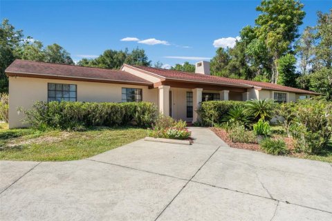 Villa ou maison à vendre à Leesburg, Floride: 5 chambres, 303.23 m2 № 2399251 - photo 3
