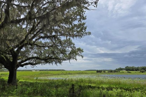 Land in Ocklawaha, Florida № 1837109 - photo 28