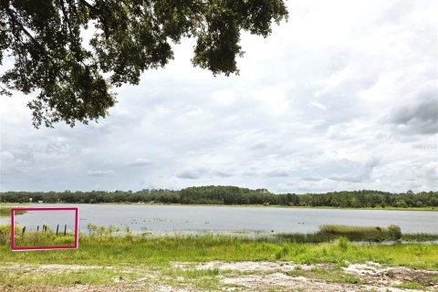Land in Ocklawaha, Florida № 1837109 - photo 29