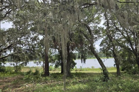 Land in Ocklawaha, Florida № 1837109 - photo 18