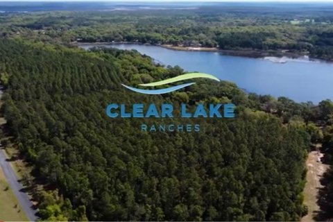 Land in Ocklawaha, Florida № 1837109 - photo 3