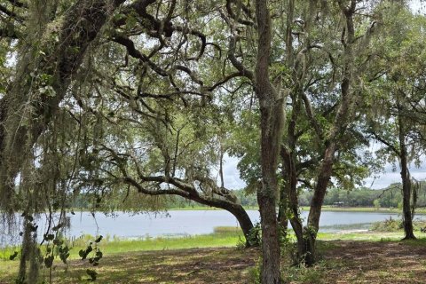 Land in Ocklawaha, Florida № 1837109 - photo 27