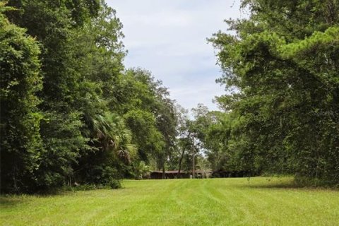 Land in Ocklawaha, Florida № 1837109 - photo 21