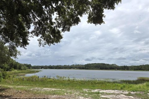 Land in Ocklawaha, Florida № 1837109 - photo 19