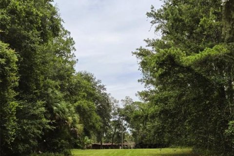 Land in Ocklawaha, Florida № 1837109 - photo 23