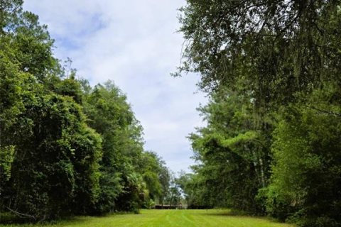 Land in Ocklawaha, Florida № 1837109 - photo 22