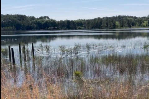 Land in Ocklawaha, Florida № 1837109 - photo 20