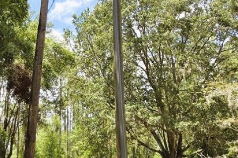 Land in Ocklawaha, Florida № 1837109 - photo 12