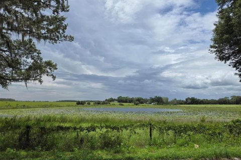 Land in Ocklawaha, Florida № 1837109 - photo 24