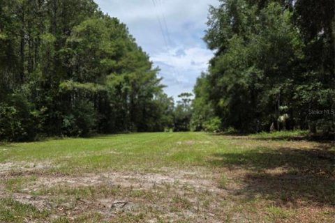 Land in Ocklawaha, Florida № 1837109 - photo 17
