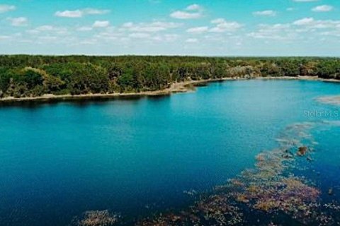Land in Ocklawaha, Florida № 1837109 - photo 4