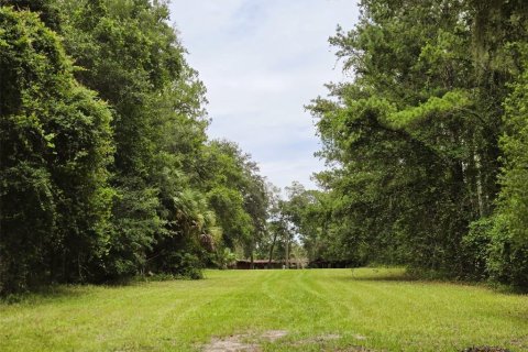 Land in Ocklawaha, Florida № 1837109 - photo 6