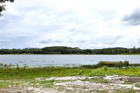 Land in Ocklawaha, Florida № 1837109 - photo 26