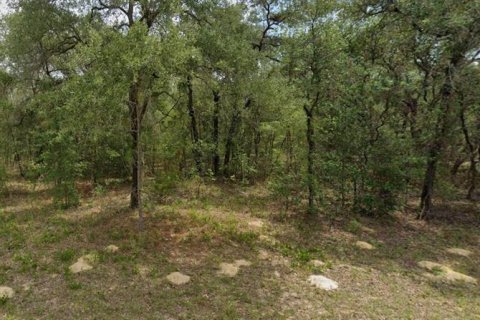 Terreno en Citrus Springs, Florida № 2165241