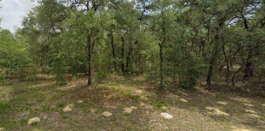 Terreno en Citrus Springs, Florida № 2165241
