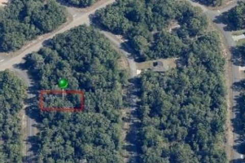 Terreno en venta en Citrus Springs, Florida № 2165241 - foto 2
