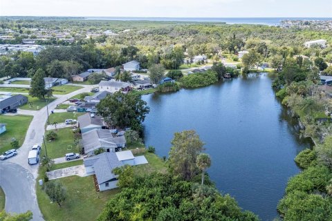 Villa ou maison à vendre à New Port Richey, Floride: 3 chambres, 133.04 m2 № 2398437 - photo 30