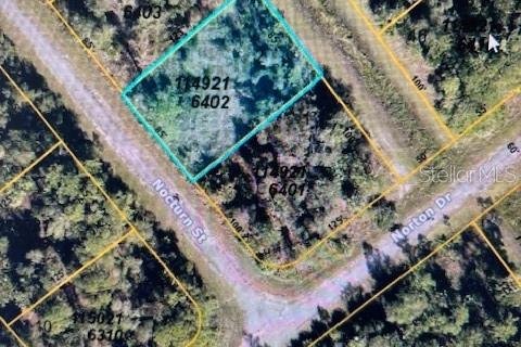 Land in North Port, Florida № 2224154 - photo 2