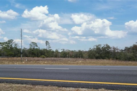 Land in Williston, Florida № 2104295 - photo 2