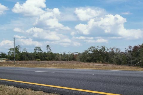 Land in Williston, Florida № 2104295 - photo 3