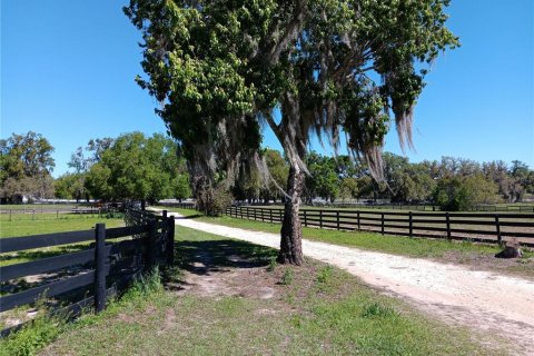 Terrain à Citra, Floride № 2334056