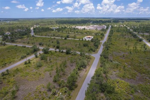 Land in Port Charlotte, Florida № 2165889 - photo 5