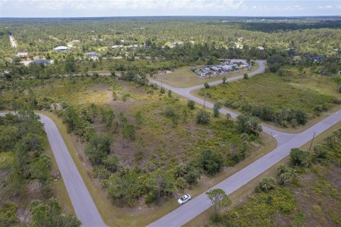 Land in Port Charlotte, Florida № 2165889 - photo 6