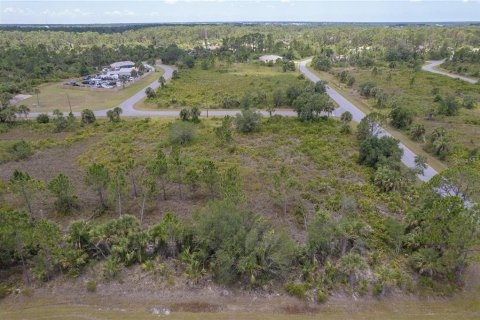 Land in Port Charlotte, Florida № 2165889 - photo 3