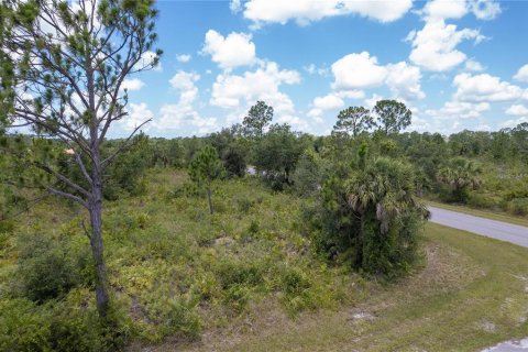 Land in Port Charlotte, Florida № 2165889 - photo 4