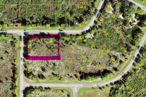 Land in Port Charlotte, Florida № 2165889 - photo 8
