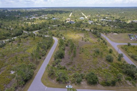 Land in Port Charlotte, Florida № 2165889 - photo 7