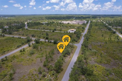 Land in Port Charlotte, Florida № 2165889 - photo 2