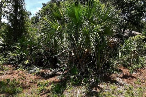 Land in North Port, Florida № 2166644