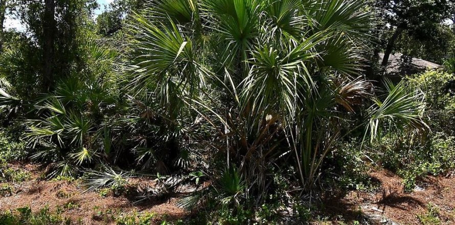 Land in North Port, Florida № 2166644