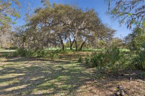 Land in Oviedo, Florida № 2100814 - photo 6
