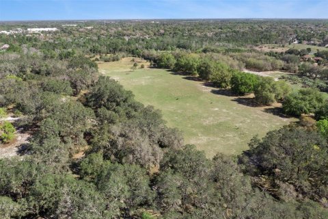 Land in Oviedo, Florida № 2100814 - photo 16