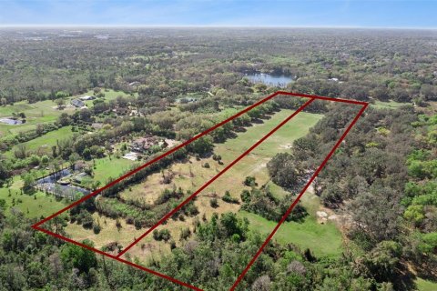 Land in Oviedo, Florida № 2100814 - photo 17
