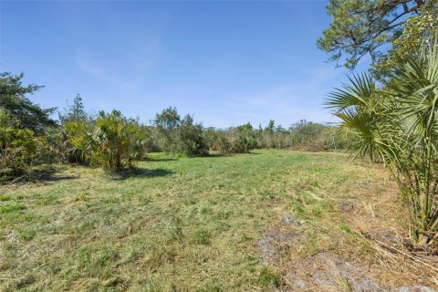 Land in Oviedo, Florida № 2100814 - photo 9