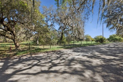 Land in Oviedo, Florida № 2100814 - photo 5