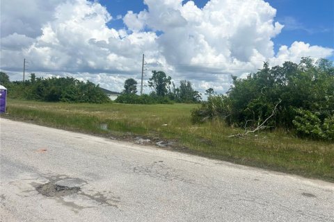 Land in Cape Coral, Florida № 2224189 - photo 3