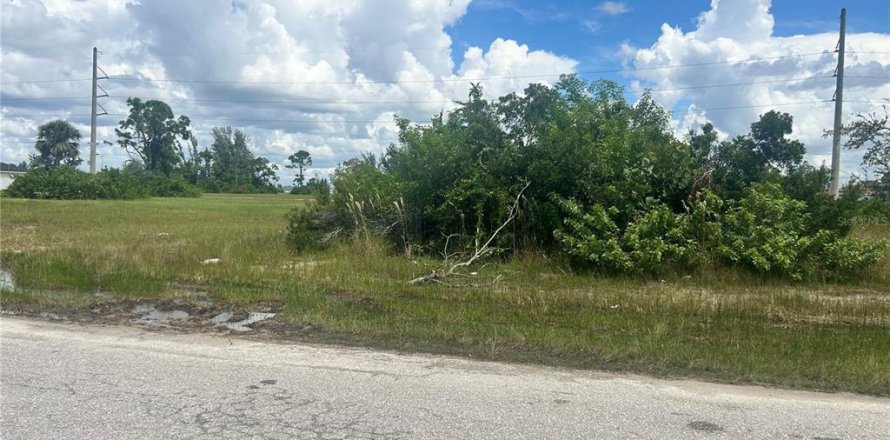 Land in Cape Coral, Florida № 2224189