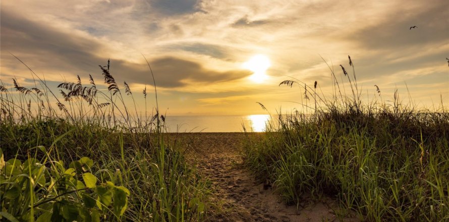 Condo in Fort Pierce, Florida, 1 bedroom № 1074717