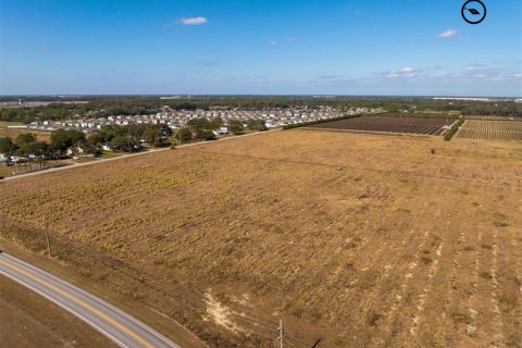 Land in Auburndale, Florida № 2239838 - photo 4